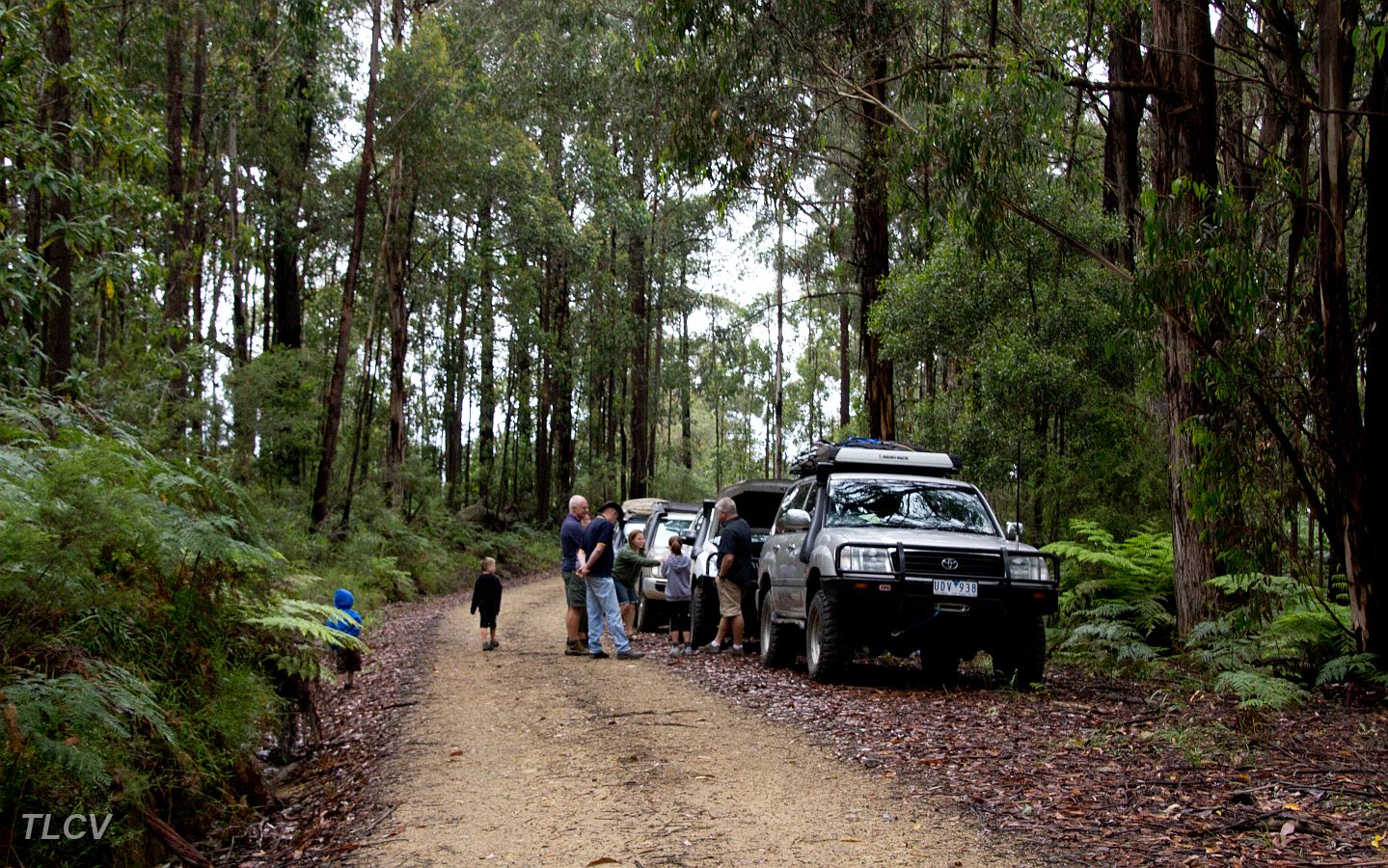11-Convoy stops to check GC's Truck.jpg